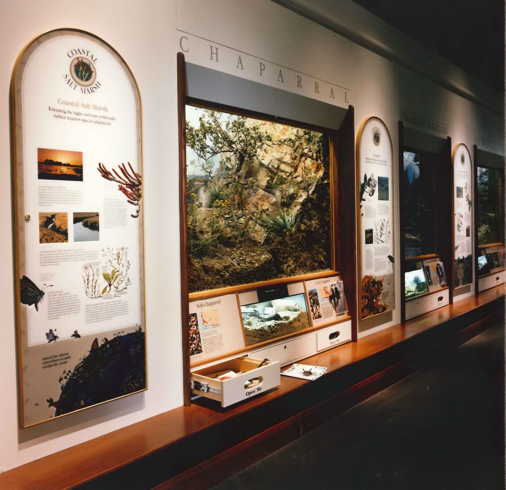 Santa Barbara Natural History Museum -Insectarium - WELDON EXHIBITS