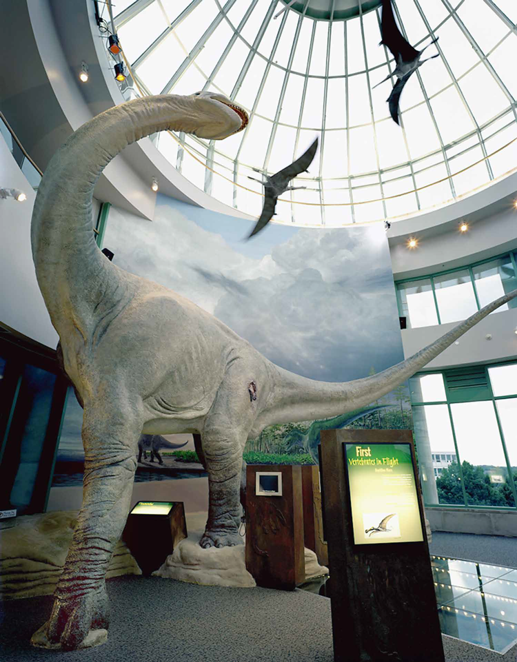 North Carolina State Museum of Natural Sciences - WELDON EXHIBITS